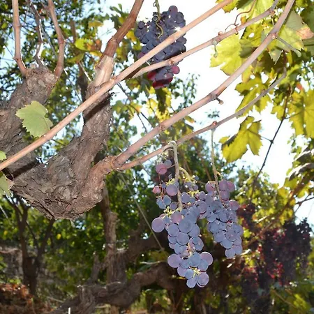 La Casa Del Prussiano ديانو كاستيلو