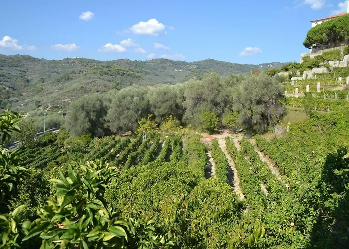 Apartman La Casa Del Prussiano Diano Castello