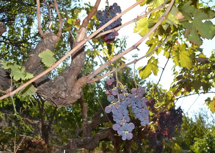 La Casa Del Prussiano Diano Castello